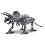 Magna-Bones 32 pcs