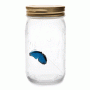 Electronic Butterfly in a Jar