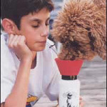 Cool Pooch – Lets you Share a Cold one with Your Dog