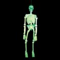 Glow in the Dark Halloween Skeleton 