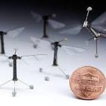 RoboBees – What’s all the Buzz?