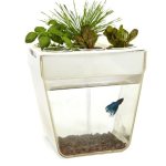 Back to the Roots Aquafarm – for Everyone Left on your List