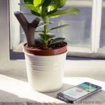Parrot Flower Power helps keep your leaved friend happy