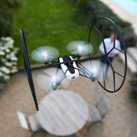 parrot-spider