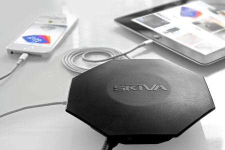 skiva