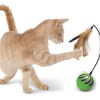 random-motion-cat-toy