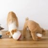 The Oppo food bowl for dogs