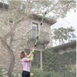 Cordless Long Reach Chainsaw lets you tackle those hard-to-reach areas