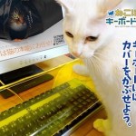 The Neko Pochi Anti-Cat Keyboard Cover will let you work while the kitties play