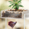 Vita Fish Tank Planter