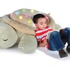nap-inducing-tortoise