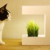 Akira 14 Hydroponic Grow BOx