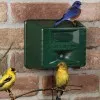 song-bird-attractor