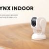 lynx-indoor