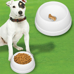 Finicky Feeders hides a treat for picky dogs