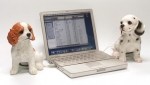 USB Puppy 