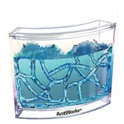 antworks