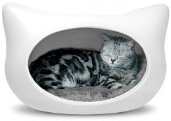 catbed