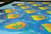 Solar Powered Pool Heaters